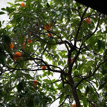 Titan House 호스텔 *