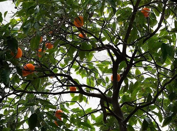 Titan House Hostal *